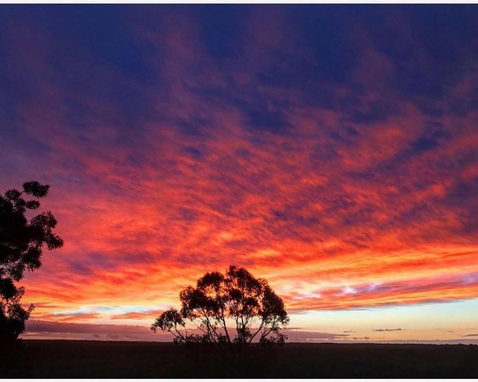 Gisborne Peak Winery Short Term Stays 외부 사진