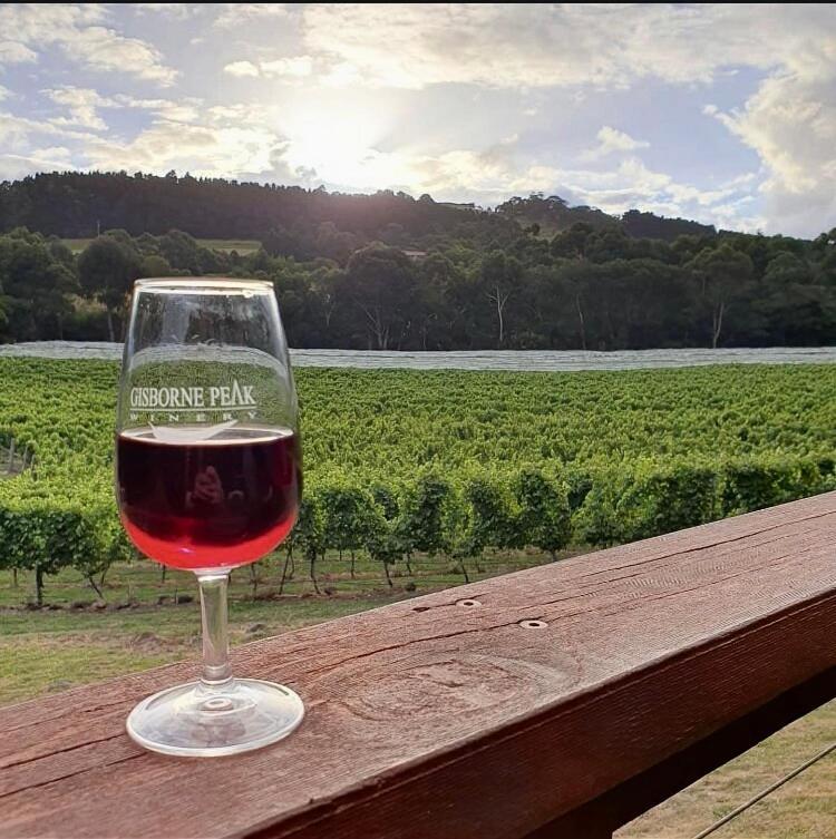 Gisborne Peak Winery Short Term Stays 외부 사진