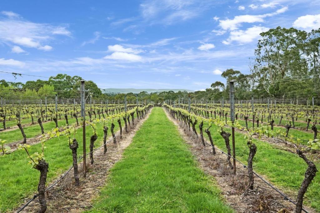 Gisborne Peak Winery Short Term Stays 외부 사진