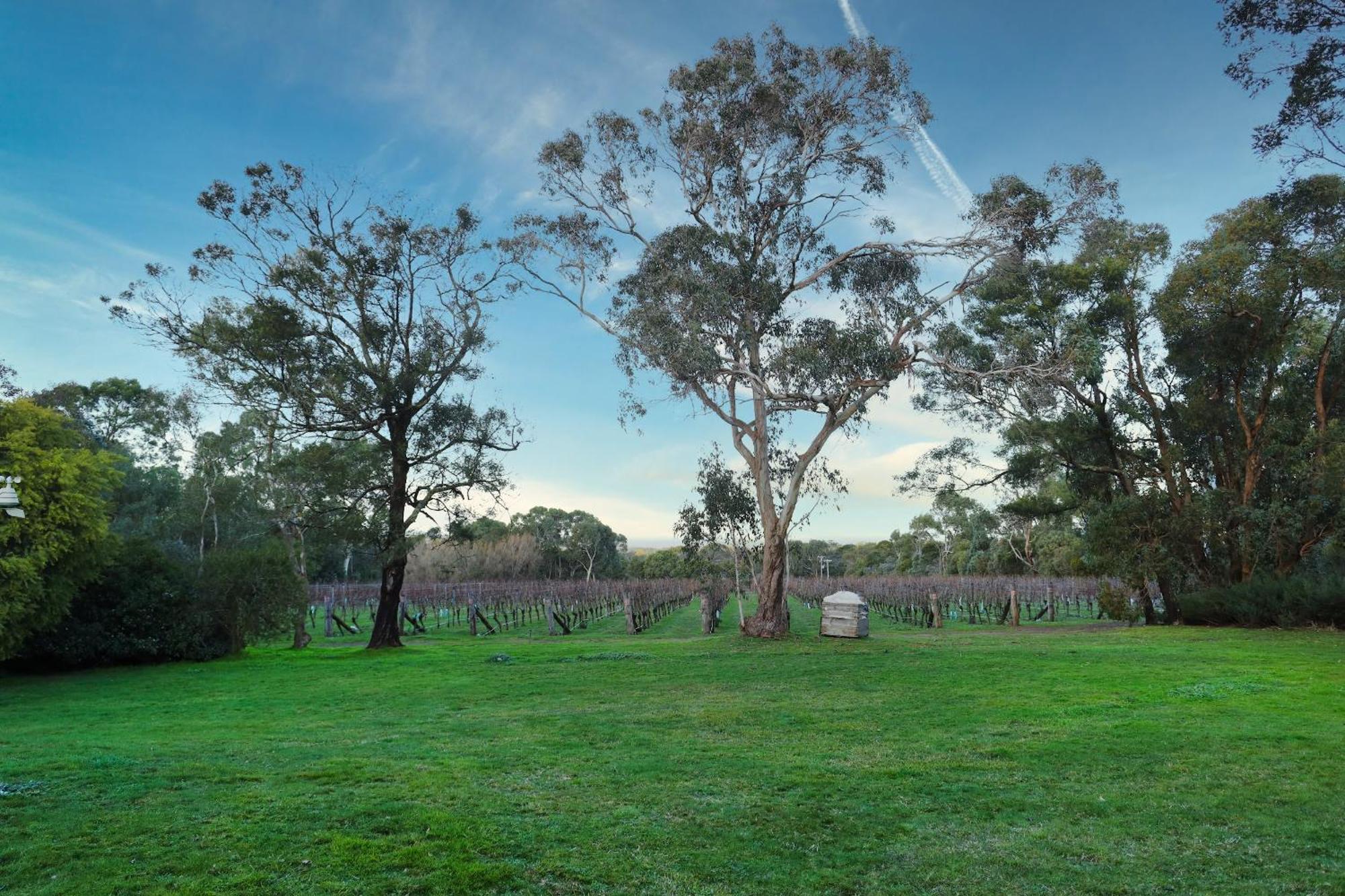 Gisborne Peak Winery Short Term Stays 외부 사진