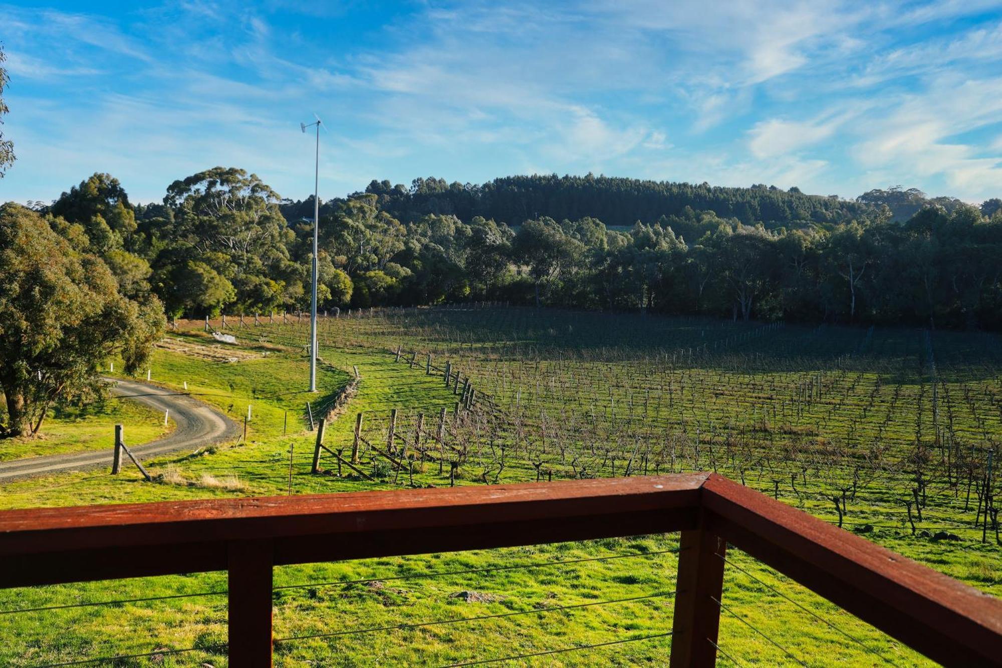 Gisborne Peak Winery Short Term Stays 외부 사진